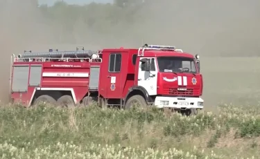 Пожароопасный период: в Казахстане с начала года произошло свыше 260 лесных пожаров