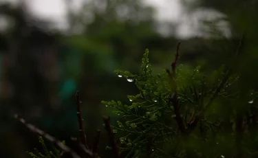 Қазақстанның бірқатар өңірінде найзағай ойнап, бұршақ жауады