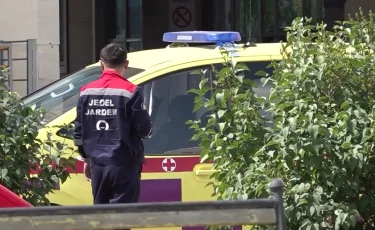Үржардағы қайғылы жағдай: Астанаға жеткізілген екі бала ауруханадан шықты