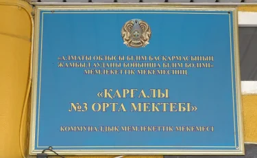 Интимдік видеоға түсіріп, ақша табуды көздеген: Алматы облысында жетім қыз сыныптастарынан зорлық көріп келген