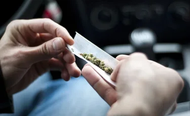 Жетісу облысында полицейлер 10 келіден астам марихуананы тәркіледі