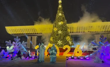 Алматыда бас шыршаның шамы жағылды
