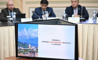 Для Алматы утвердили правила охраны атмосферного воздуха