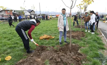 Экологиялық жобалар қала үшін басым бағыт болып қала береді – Алматы әкімі