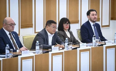 Айдос Сарым Конституциялық реформа туралы пікір білдірді