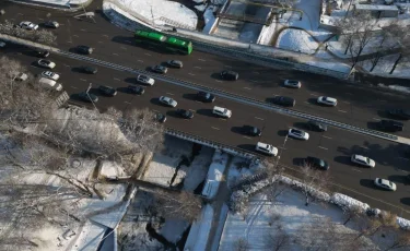 В Алматы при строительстве велопешеходного моста через Есентай высадят 80 крупномерных деревьев