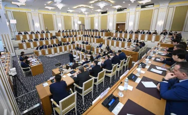 Депутат предложил закрепить экологические ценности в Конституции в качестве национального приоритета