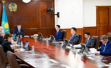 Мемлекет нақты мұқтаж жандарға ғана атаулы қолдау көрсетеді - Олжас Бектенов
