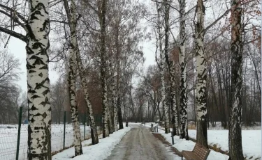 Погода в Алматы с 23 февраля по 1 марта 2026