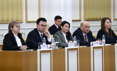 Қазақстан халықаралық міндеттемелерді қолданыстағы құқық негізінде, заң талаптарына сәйкес қолданады – Үнзила Шапақ