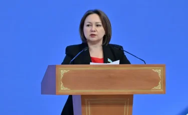 Проект новой Конституции потребует переработки большого массива законов - Снежанна Имашева