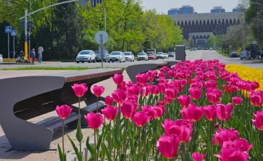 В Алматы расширяют масштабы декоративного озеленения в рамках «Таза Қазақстан»