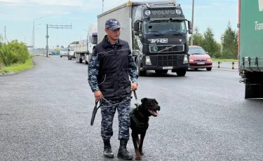 Четвероногий спецназ: служебная собака ВС Казахстана спрыгнула с парашютом