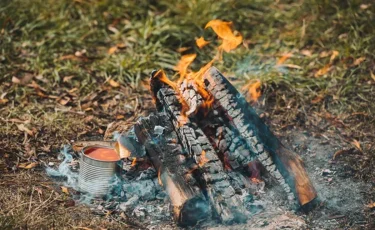 ТЖМ табиғатта және су жағасында қауіпсіздік ережелерін сақтауға шақырады