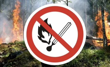 Өрт қауіпті кезең: ТЖМ азаматтарды қауіпсіздік талаптарын қатаң сақтауға шақырады
