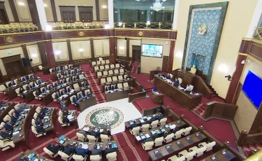 Депутаттар экология саласын реттеу бойынша жаңа шараларды ұсынды
