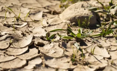Шілдеде Қазақстанның бірнеше өңіріне қуаңшылық қаупі төніп тұр