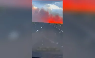 Абай облысында көл жағасындағы қамыс пен құрғақ шөп өртеніп жатыр