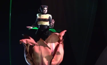 Жәндіктер әлеміне саяхат: Алматыда Cirque du Soleil гастролі басталды