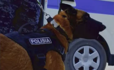 Более 20 килограммов марихуаны изъяли полицейские в Актау