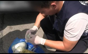 Таразда такси жүргізушісінен марихуана тәркіленді