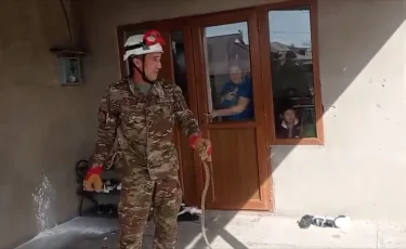 Көпқабатты үйге кіріп жатыр: Шымкентте жылан көбейді