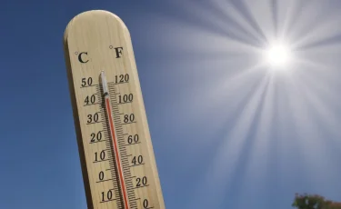 Аномальная жара в Европе: десятки человек погибли