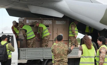 Қазақстанға Пржевальский жылқыларының екінші тобы әкелінді