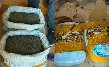 Маңғыстауда 20 келіге жуық марихуана тәркіленді