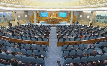 Үш жылда 300 заң: депутаттар жаңа Конституциядан не күтеді