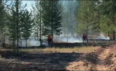 Абай облысында найзағай салдарынан орман өрті тұтанды