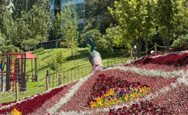 Есентай жағалауындағы гүлден жасалған тауыс көпшіліктің көзайымына айналды