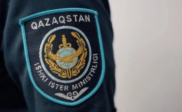 Павлодарда әйелдің басына мұз кесегін лақтырған адам анықталды