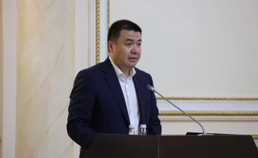 Алматыда суицидтің алдын алу мәселелері жөніндегі ведомствоаралық комиссия құрылады