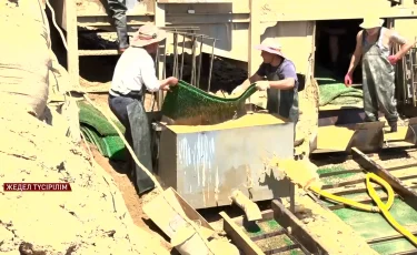 Заңсыз алтын өндірген топ ұсталды