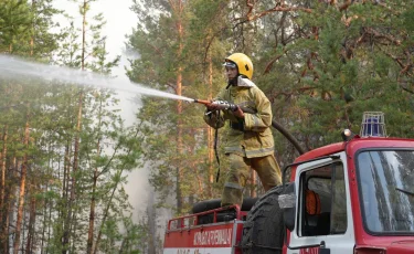 Бір тәулікте 55 дерек тіркелді: ормандағы өрт ошақтары бақылауға алынды