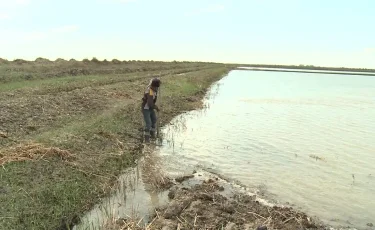 Еліміздің бес өңірінде су пайдалану лимиті бекітілді