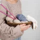 Радость творчества: почему рукоделие и ремесла так полезны для души